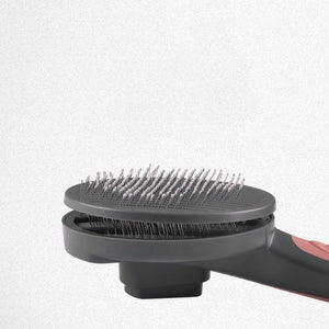 Pet Brush for Cats & Dogs